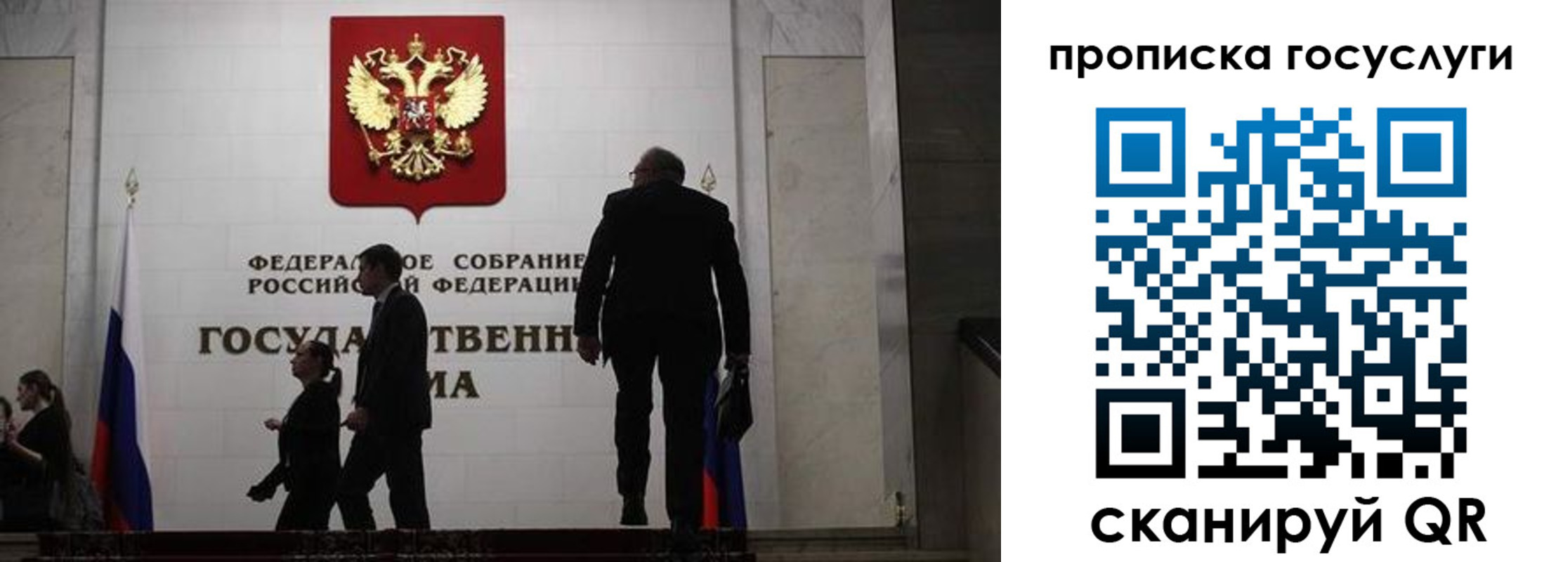 прописка штамп в Светлогорске