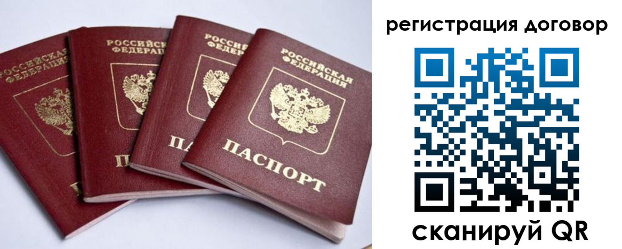 прописка паспорт в Светлогорске